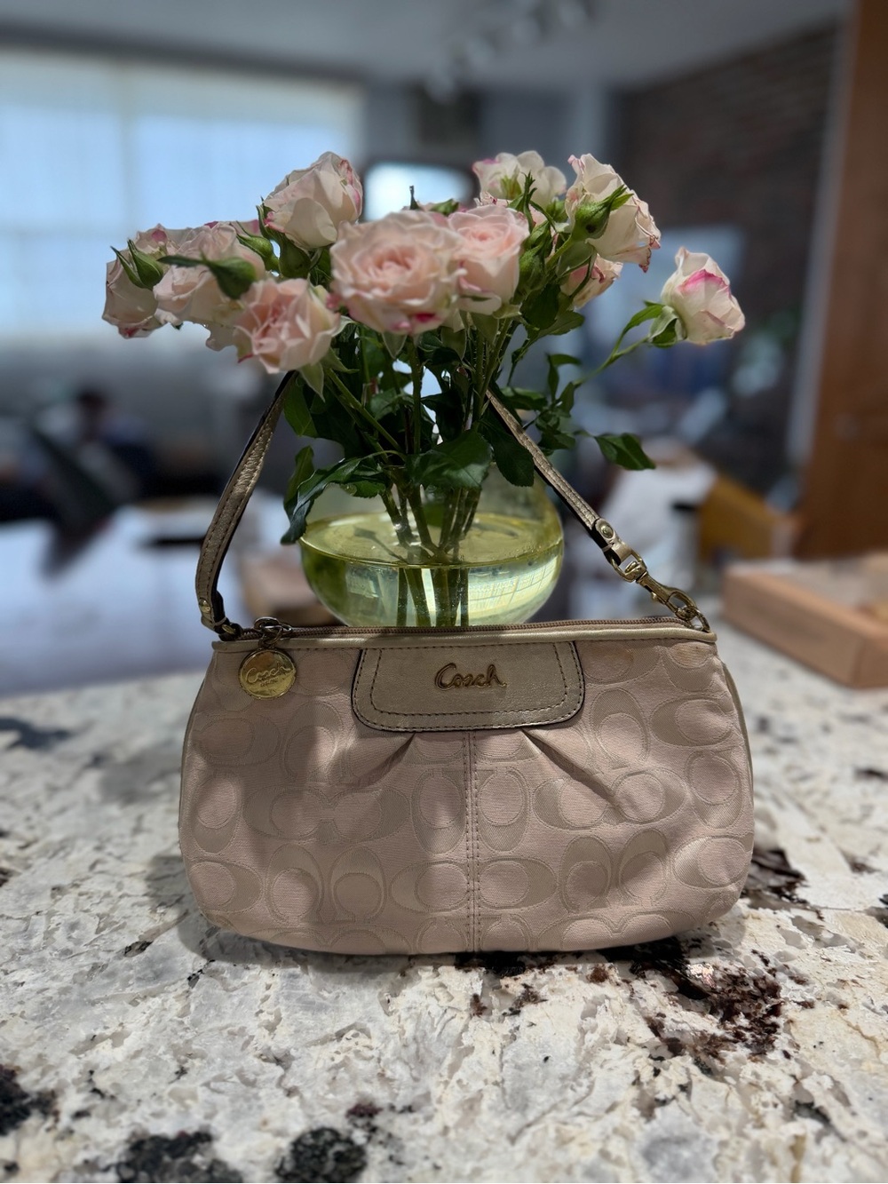 Y2K Coach Mini Shoulder Bag in Blush Beige with Gold Hardware vintage - Picture 1 of 14